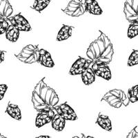 Hop cones bunch black white graphic seamless pattern isolated. Hops plant, leaves monochrome background hand drawn by ink. Botanical humulus repeated texture for design organic product, brewing vector