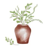 Maroon vase handcrafted watercolor illustration isolated. Plants pastel color in large wide vase hand drawn. Handmade vase with leaves and stems. Element for ceramics workshop, school, modeling clay vector