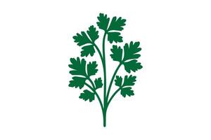 A green plant with leaves on it vector