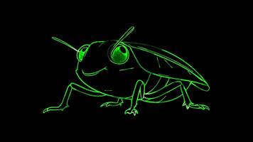 Neon frame effect, Leafhopper on black background video