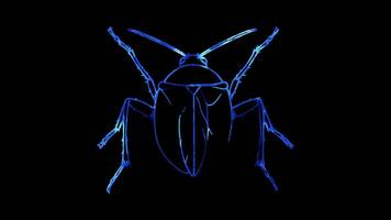 Neon frame effect, Stink Bug on black background video