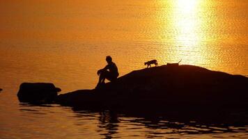 Man with cats on the background of golden path of setting sun over water. Silhouette of a guy sitting on the big stone surrounded by water in the evening. video