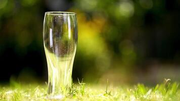 Empty glass for beer on a grass. Tall glass without any drink on grass background. Close-up. video