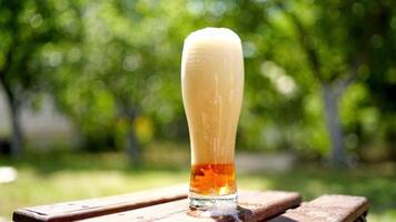 Full glass of white foam from beer. Process of becoming beer beverage from foam in the glass on blurred background. Bubbles and foam in beer glass. video