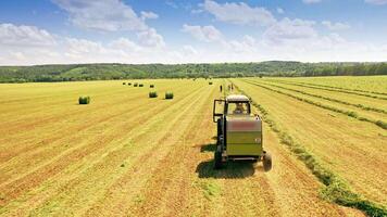 Agricultural machinery pressing grass in the field in summer. Tractor collects the green grass and press it in bales on the background of wide field with many round bundles outdoors. video