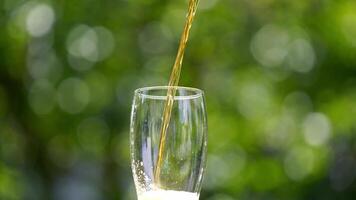 Pouring fresh beer with foam running down. Stream of beer pours into a beer glass against blur green background. Close-up. video