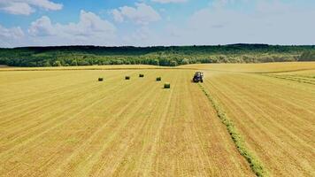 Tractor at work and some bales on the field on natural background. Agricultural tractor in field pressing grass into round bundles at sunny summer day. Aerial view. video