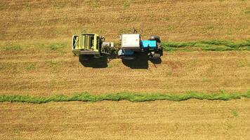Agricultural process of special machine in the field. Top view of a tractor collecting green grass to press it into bales. Aerial view. Camera moves top down. video