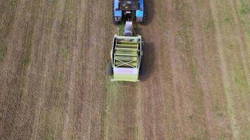 Ready grass bale comes out of a pressing machine. Agricultural machinery presses grass to make round bundle in the field. Top view. video
