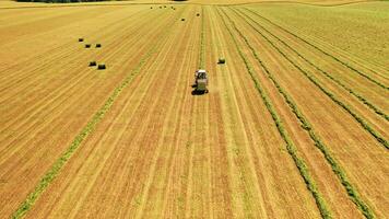 Agricultural machinery pressing green grass in the field. Harvester and tractor in field press grass into bundle in a sunny day. Aerial view. video