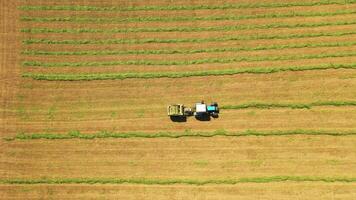 Aerial view of a tractor in the field. Agricultural machinery pressing green grass for cows on the natural background on the meadow in summer. video