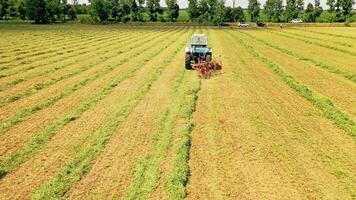 Agricultural process with green grass in the field. Tractor is working in summer on the grassland in a sunny day. video