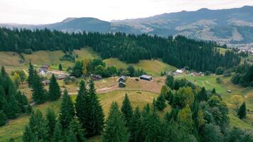 Aerial View of Forested Valley with Scattered Houses. An expansive aerial view of a forested valley, showcasing a scattering of houses and cabins nestled among dense green trees. video