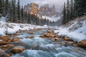 A Snowy Mountain Stream Flows Past Rugged Cliffs and Evergreen Trees photo