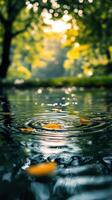 Fallen Leaf Creating Ripples in a Calm Pond Underneath a Canopy of Lush Green Trees photo