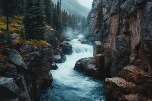 A rushing river flows through a narrow canyon formed by steep rock cliffs and tall evergreen trees. photo