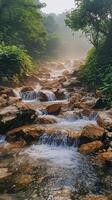 Tranquil Stream Flowing Through a Misty Forest photo