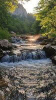 A Stream Flowing Through a Lush Forest with a Rocky Outcrop in the Background photo