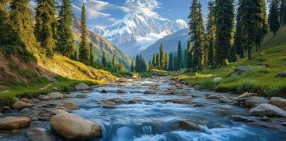 Mountain Stream Flowing Through a Forest photo