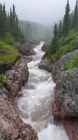 Foamy Creek Winding Through Rocky Gorge in Foggy Forest photo