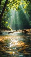 Sunbeams Illuminating a Tranquil Forest Stream photo