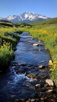 A Stream Winding Through A Meadow With A Snowy Mountain In The Background photo