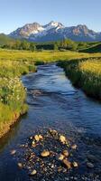 A Stream Flowing Through a Meadow with a Mountain Range in the Background photo