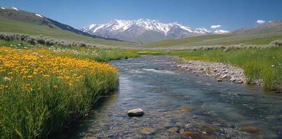 A Stream Flows Through a Meadow With Snowy Mountains in the Distance photo