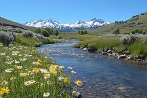 A Mountain Stream Flows Through Wildflowers and a Snowy Mountain Range photo