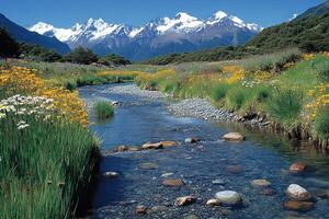 A Mountain Stream Flows Through a Meadow With Snow-Capped Peaks in the Distance photo
