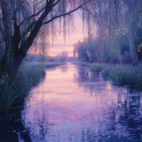 A willow tree and its reflection in a river at dusk photo