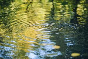 Ripples on a Calm Pond Reflecting Trees and Sky photo