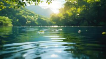 A Single Leaf Floating on a Calm, Green Lake with Sunlight Filtering Through Trees photo