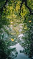 Abstract Tree Reflection in Rippling Water with Fallen Leaves photo