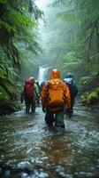 Hikers in Rain Gear Traverse a Creek in a Foggy Forest photo