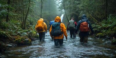 Hikers Traverse a Forested Stream in Rain photo
