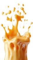 Caramel Sauce Splashing on a White Background photo
