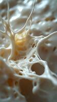 Close-up of Creamy White Substance with Interconnected Cavities photo