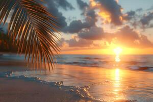 Tranquil Sunset at Tropical Beach with Palm Frond and Golden Reflections photo