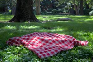 Serene Picnic Scene with Red Checkered Blanket in Sunlit Park Setting photo