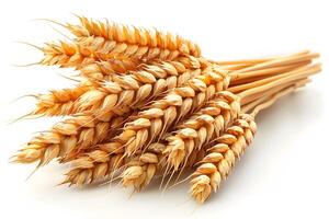 Golden Wheat Stalks Natural Harvest Theme for Agriculture and Autumn Design photo