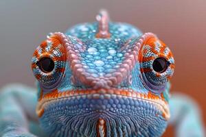 Vibrant Chameleon Close-Up Showcasing Intricate Colorful Scales and Unique Patterns photo