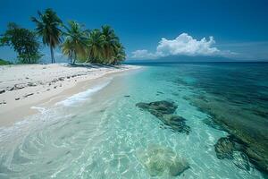 Tropical Beach Paradise with Palm Trees and Azure Waters for Travel and Relaxation photo