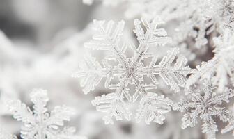 A close up of a snowflake with other snowflakes in the background photo