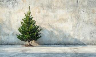 A small tree is standing in front of a wall photo