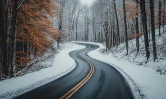 A snowy road with a curve and trees in the background photo