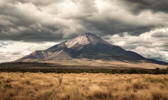 A mountain is in the background of a field with a cloudy sky photo