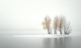 A serene winter scene with a small island in the middle of a lake photo