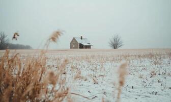 A small house is in the middle of a field covered in snow photo