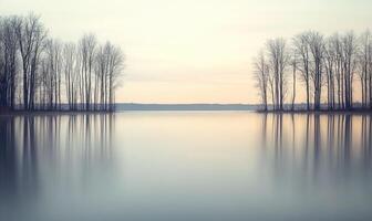 A calm lake with trees on either side photo